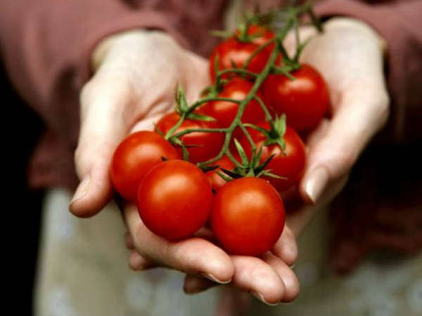 टमाटर टमाटर