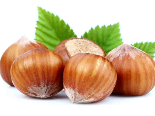 12. हेज़लनट (पहाडी बादाम)