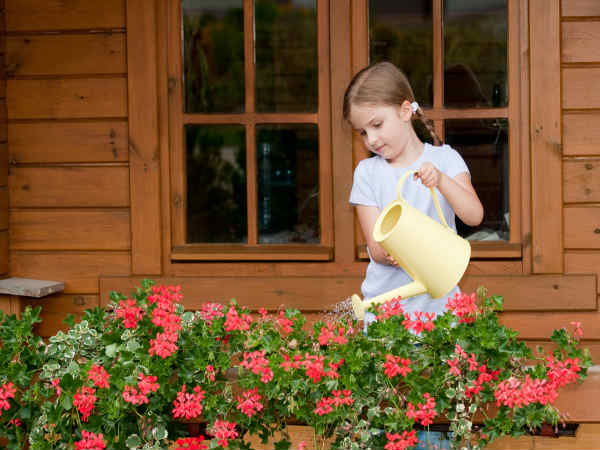 Care Of Plant At Home