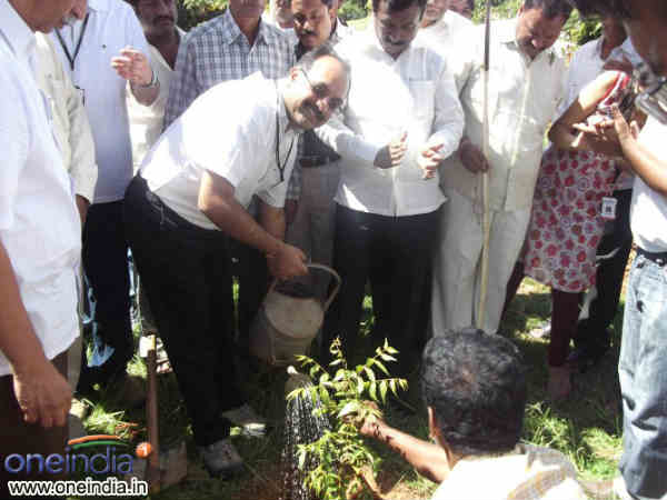 पेड़ लगा कर प्रदूषण भगाएं