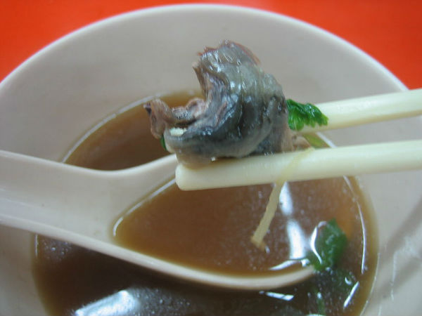 कछुआ: चाइना