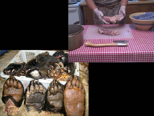 भालू का पंजा: चाइना, हांग-कांग और ताइवान