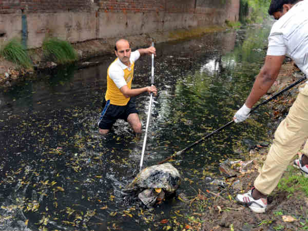  1. अपने आस पास साफ सफाई और सूखा रखें