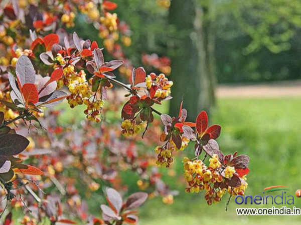 5. असुरक्षा से बचें