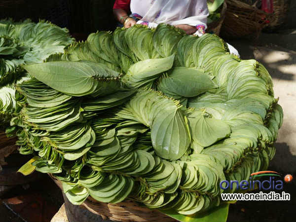 14. पान का पत्ता खाएं