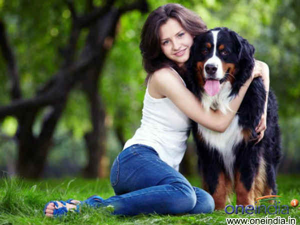  एक पालतू पशु आपको आराम देने में मदद कर सकता है