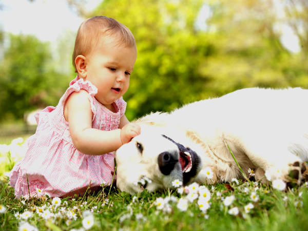  Pets Can Reduce Allergies in children's