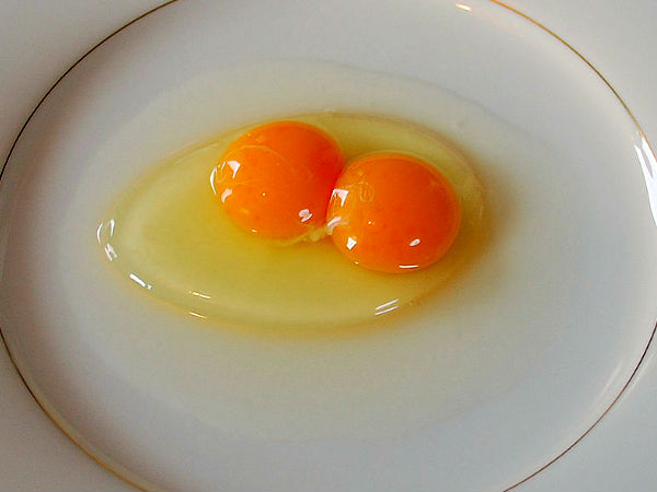 How to get healthy hair with eggs? 