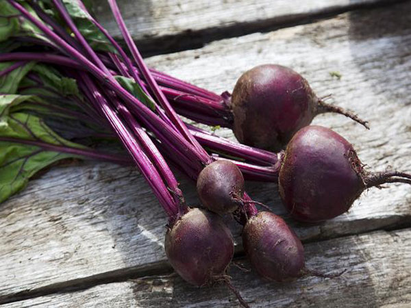 चुकंदर :