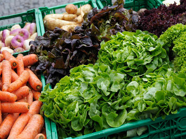 Top health benefits of eating vegetables