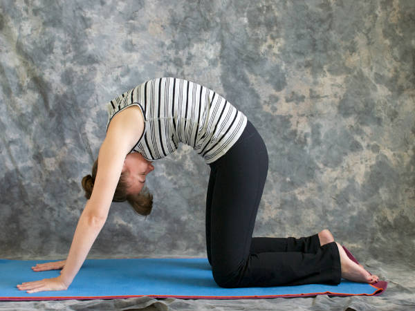 Marjariasana (Cat stretch) Pose 