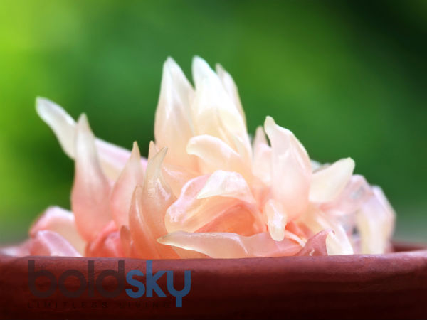 फल और सब्‍जियों गूदा