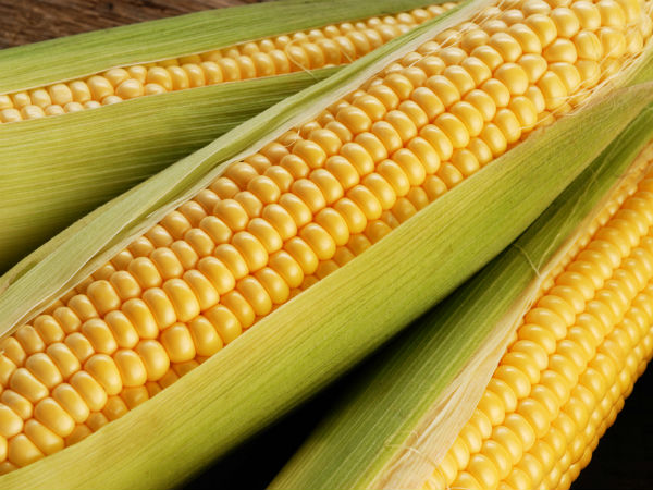 4 Myths About Corn You Should Stop Believing