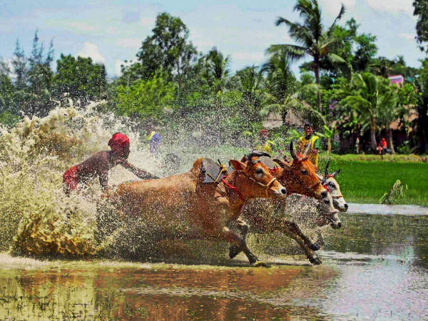 धरती की खुदाई-जुताई नहीं करनी चाहिये 