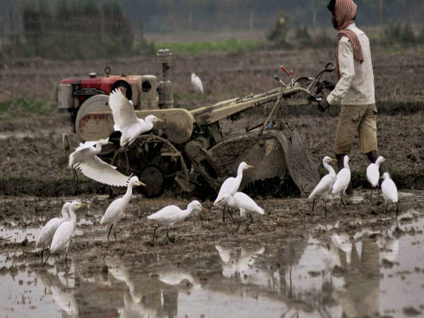 किसानों के लिये फुर्सत के पल 