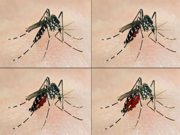 Ways To Prevent Malaria During Monsoons