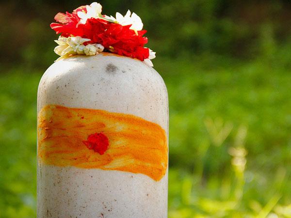 19. व्रत क्यों रखा जाता है