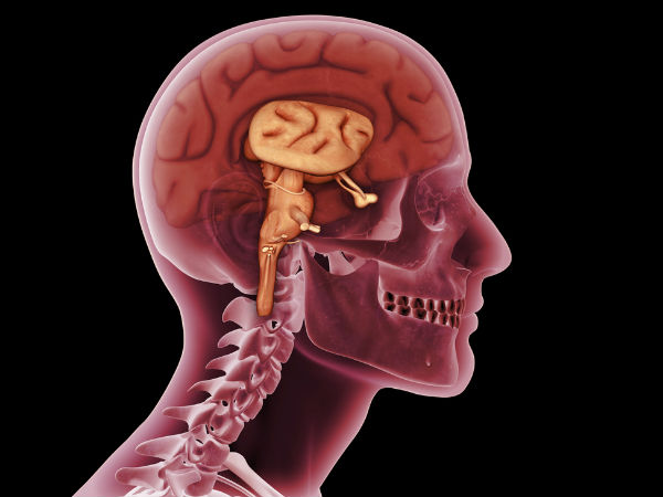  दिमाग बनाए तेज