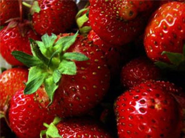 6 Tasty Fruits To Grow This Winter