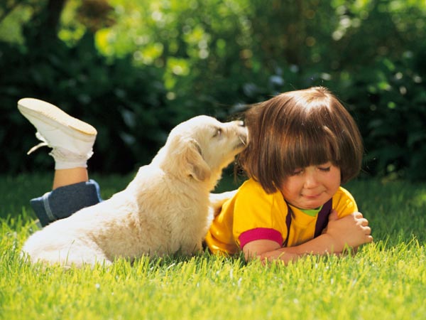 Simple Rules To Keep Your Dog Hale And Healthy