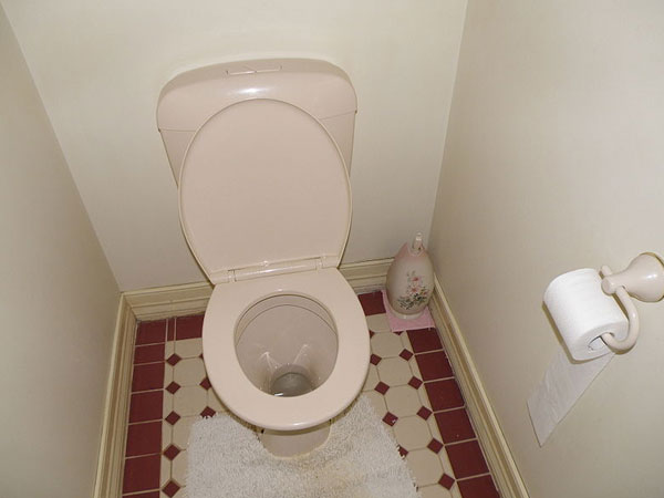 1. गंदा टॉयलेट: