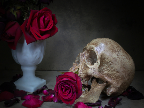 15. नैक्रोफिलिया: