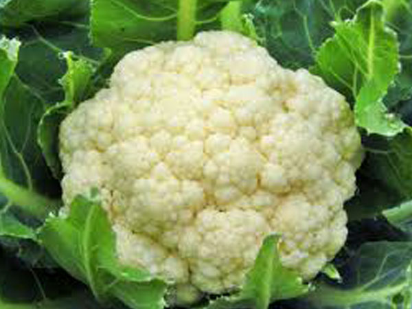 3 पत्तेदार सब्जियां