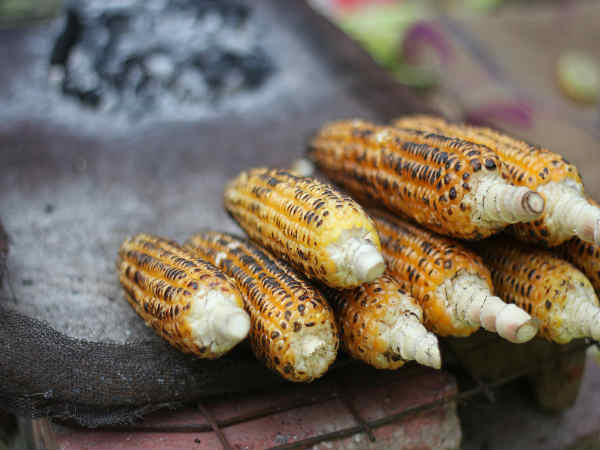 साबुत अनाज - पोषण के लिये