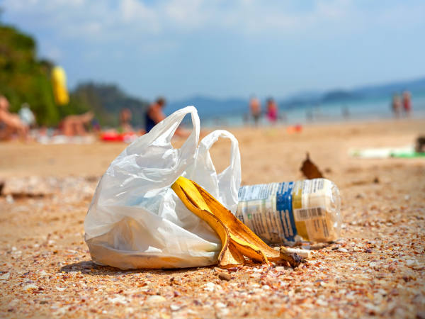  The Harmful Effects of Plastic Bags