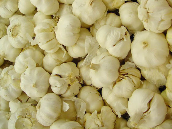 Health Benefits Of Garlic For Cold