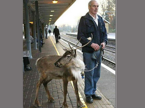 आओ हम ट्रेन से चलेंगे 