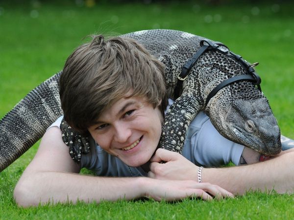 इस लिज़र्ड में ज़हर भी होता है 