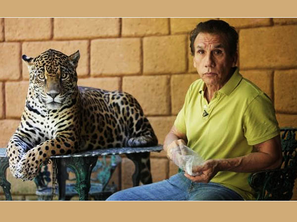 नो बिग डील 