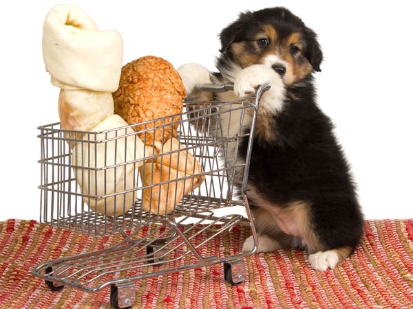  Tips On How To Clean Your Home If You Have Pets 