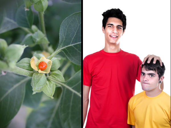 अश्‍वगंधा का प्रयोग