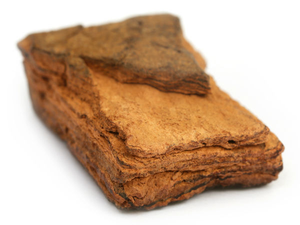 मलेरिया का बुखार