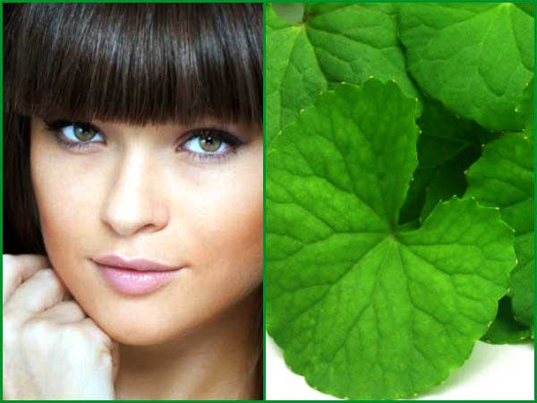  Beauty Benefits Of Brahmi 