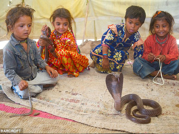 सांपों की धरती - शतपाल, महाराष्‍ट्र