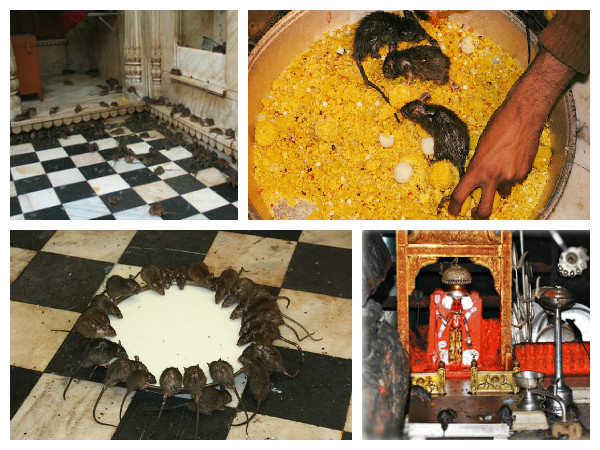  मंदिर के नियम 