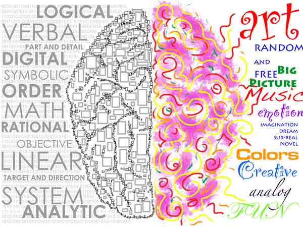 दिमाग की बनावट