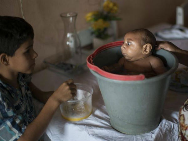  ब्राजील और साउथ अमेरीका में फैल चुका है 