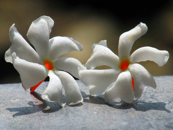 दिमाग ठंडा रखे दिमाग ठंडा रखे