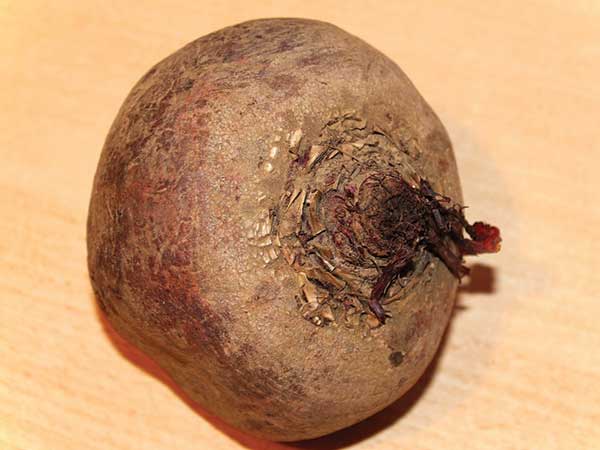 8. चुकंदर - 