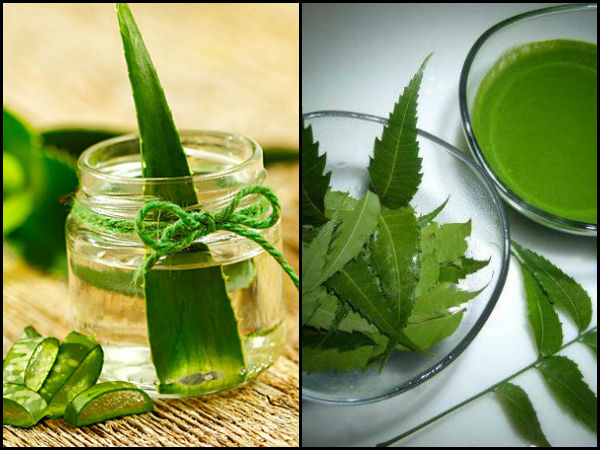 एलो वेरा और नीम तेल