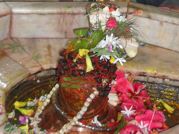 वृश्चिक 