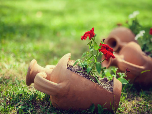 10 अपने घर को व्यवस्थित रखें