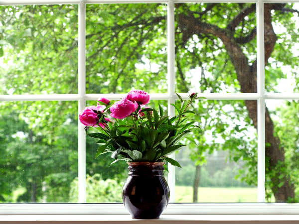 2 ताज़ी हवा एवं धूप