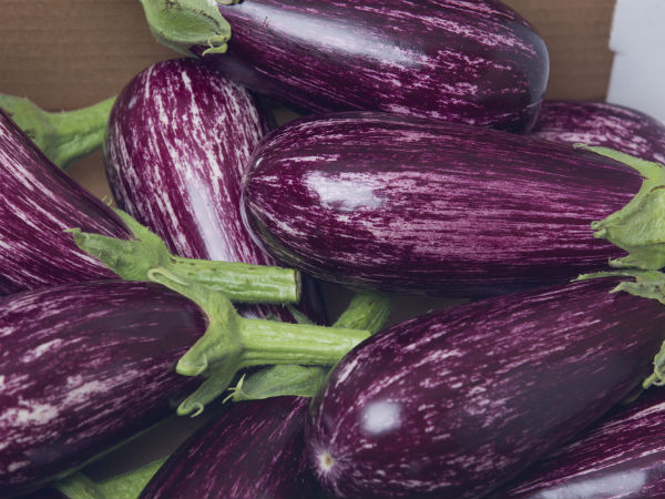brinjal 