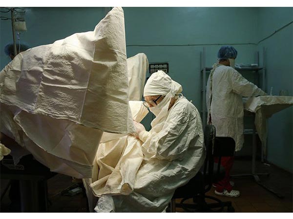 la ilyinichna levushkina