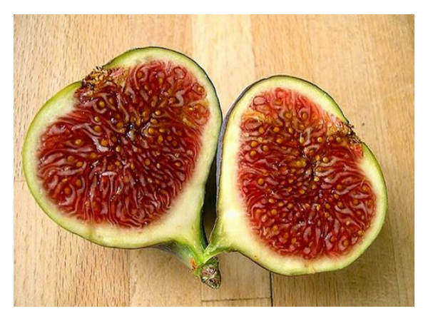 भरपेट महसूस करने के लिए डाईटरी फाइबर को बढ़ावा दें